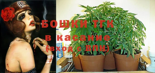 соль ск Нефтегорск