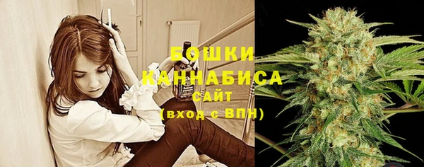 мдпв Новодвинск