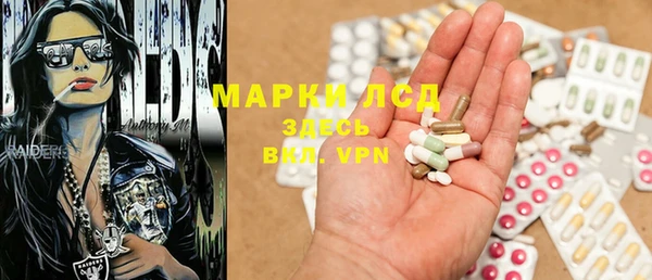 шишки Новокубанск